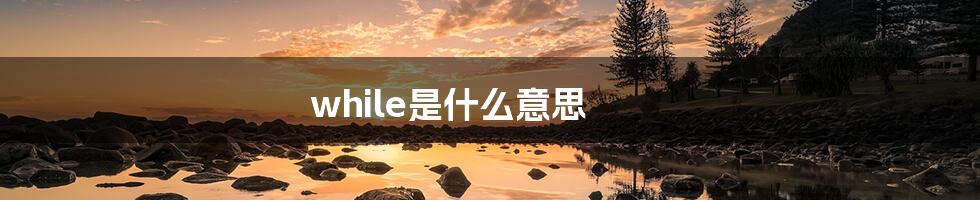 while是什么意思