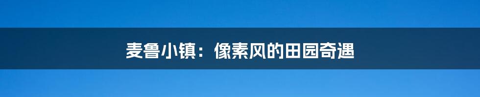麦鲁小镇:像素风的田园奇遇