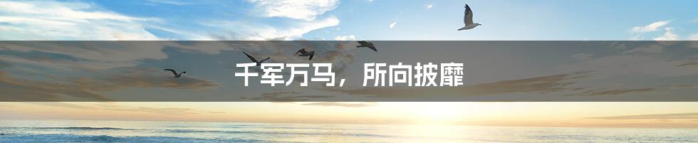 千军万马,所向披靡