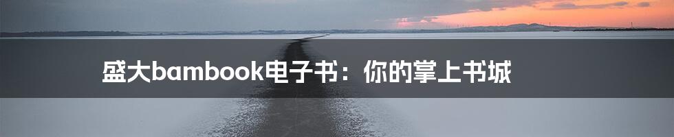 盛大bambook电子书:你的掌上书城