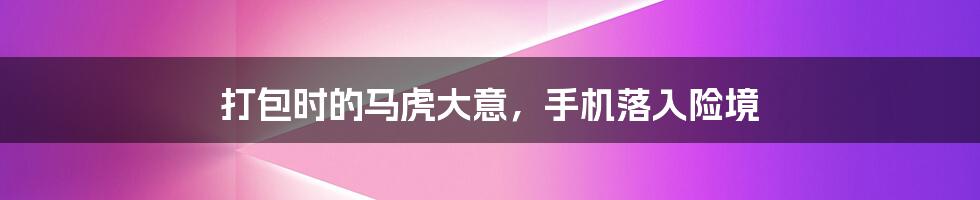 打包时的马虎大意,手机落入险境