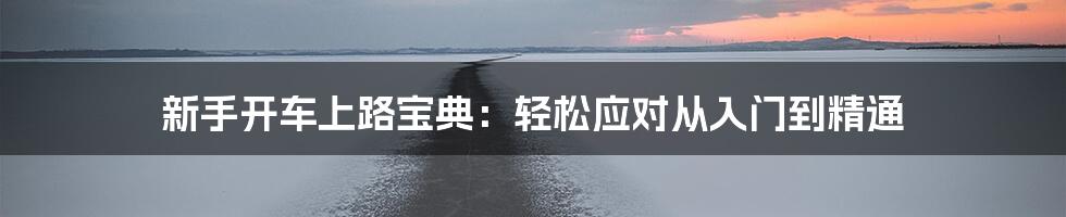 新手开车上路宝典:轻松应对从入门到精通