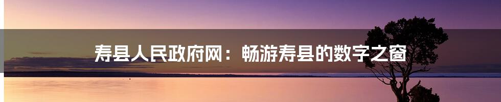 寿县人民政府网:畅游寿县的数字之窗