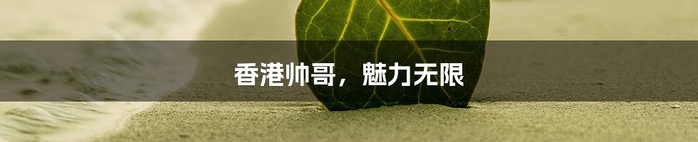 香港帅哥,魅力无限