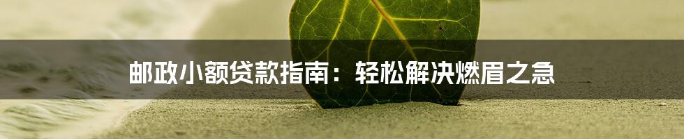 邮政小额贷款指南:轻松解决燃眉之急