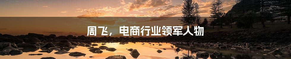 周飞,电商行业领军人物