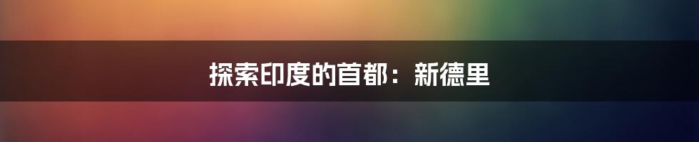 探索印度的首都:新德里