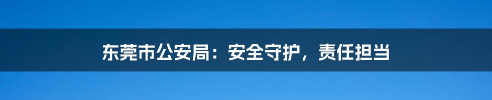 东莞市公安局:安全守护,责任担当