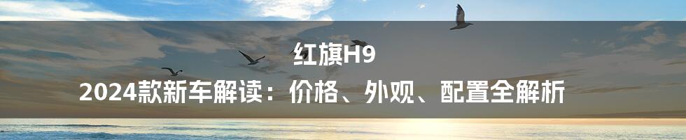 红旗H9 2024款新车解读:价格、外观、配置全解析