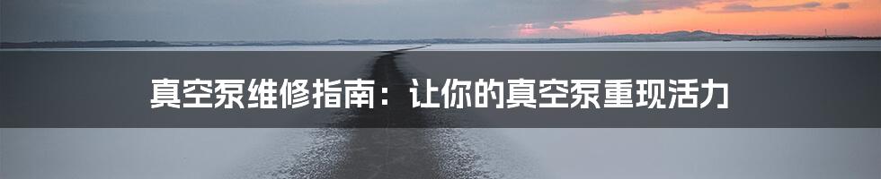 真空泵维修指南:让你的真空泵重现活力