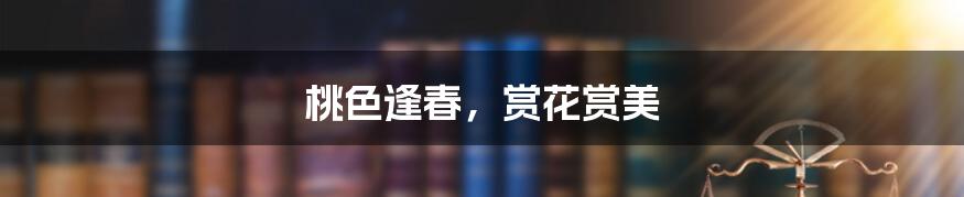 桃色逢春,赏花赏美