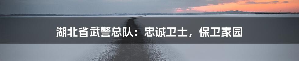 湖北省武警总队：忠诚卫士，保卫家园