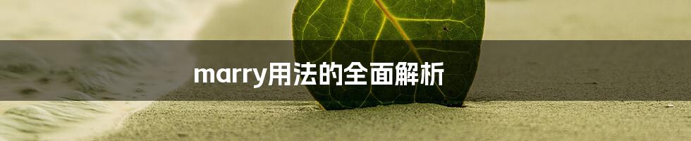 marry用法的全面解析