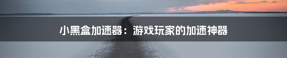 小黑盒加速器：游戏玩家的加速神器