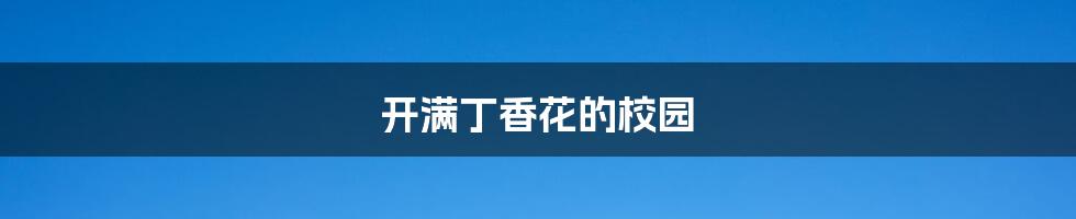 开满丁香花的校园
