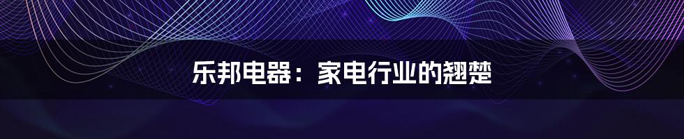 乐邦电器:家电行业的翘楚