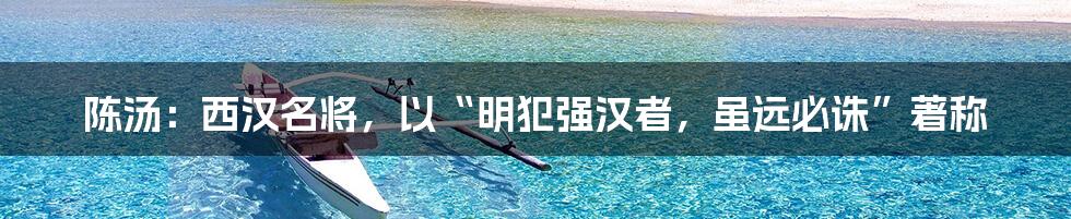陈汤:西汉名将,以“明犯强汉者,虽远必诛”著称