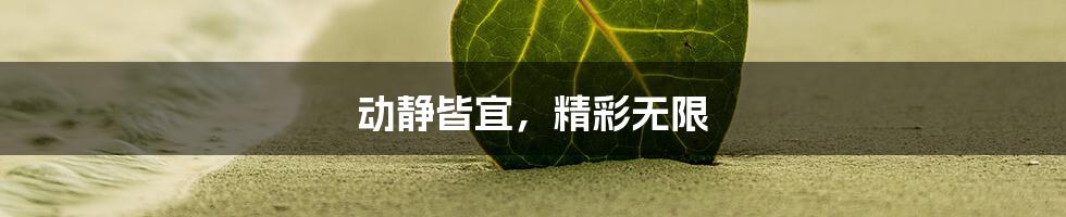动静皆宜,精彩无限