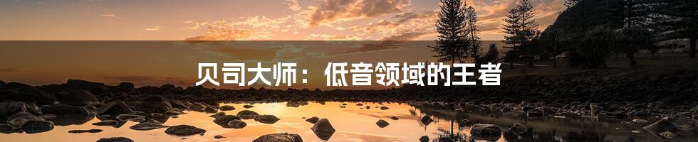 贝司大师:低音领域的王者