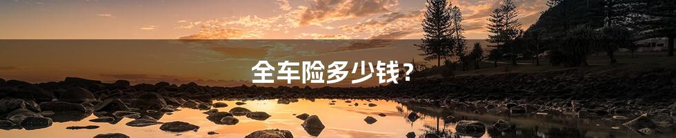 全车险多少钱?