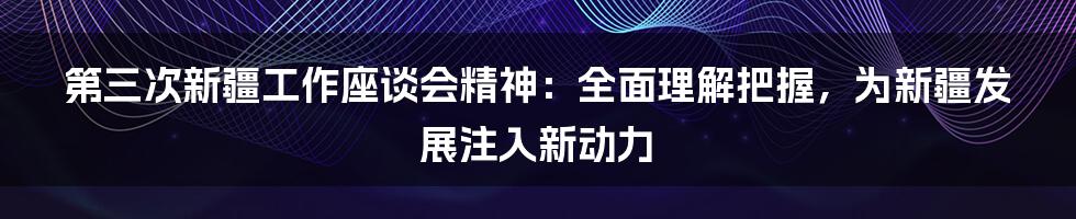 第三次新疆工作座谈会精神:全面理解把握,为新疆发展注入新动力