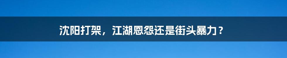 沈阳打架，江湖恩怨还是街头暴力？
