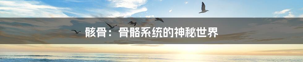 骸骨:骨骼系统的神秘世界