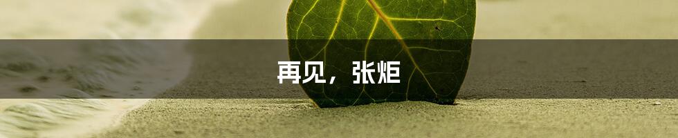 再见,张炬