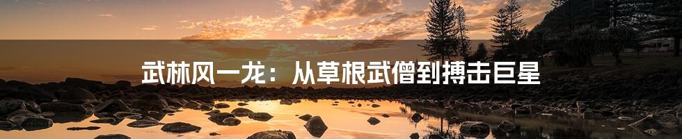 武林风一龙:从草根武僧到搏击巨星
