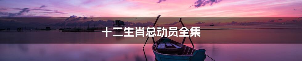 十二生肖总动员全集
