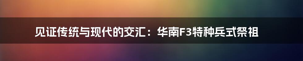 见证传统与现代的交汇:华南F3特种兵式祭祖