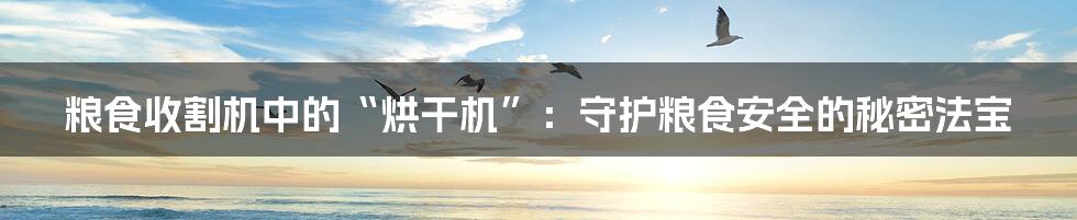 粮食收割机中的“烘干机”:守护粮食安全的秘密法宝