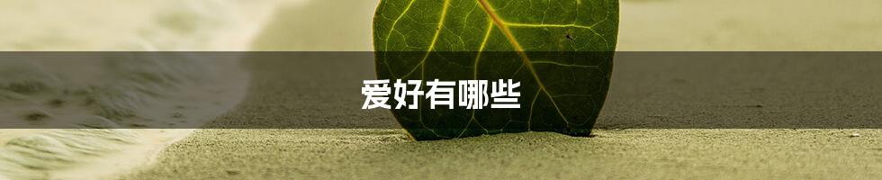 爱好有哪些