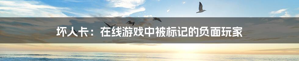 坏人卡:在线游戏中被标记的负面玩家