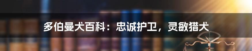 多伯曼犬百科:忠诚护卫,灵敏猎犬