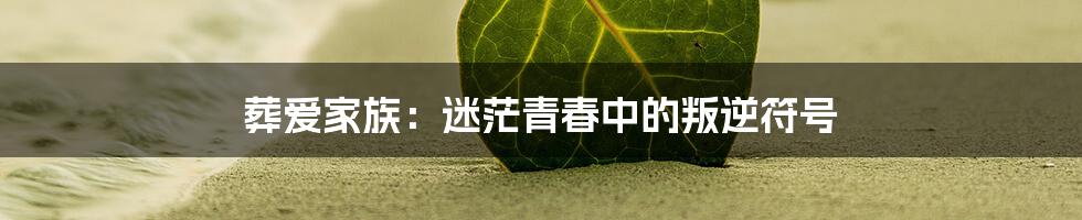 葬爱家族:迷茫青春中的叛逆符号
