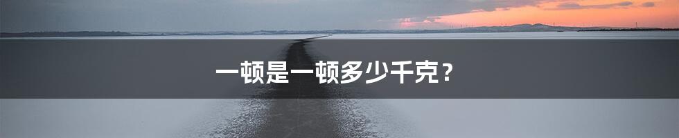 一顿是一顿多少千克?