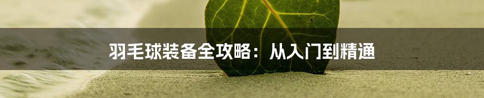 羽毛球装备全攻略：从入门到精通