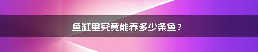 鱼缸里究竟能养多少条鱼?