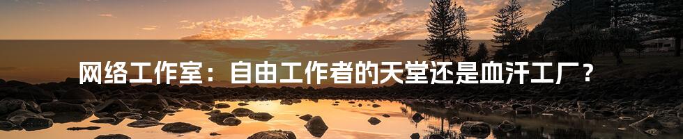 网络工作室:自由工作者的天堂还是血汗工厂?