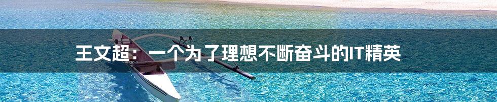 王文超:一个为了理想不断奋斗的IT精英