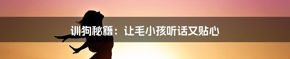 训狗秘籍:让毛小孩听话又贴心