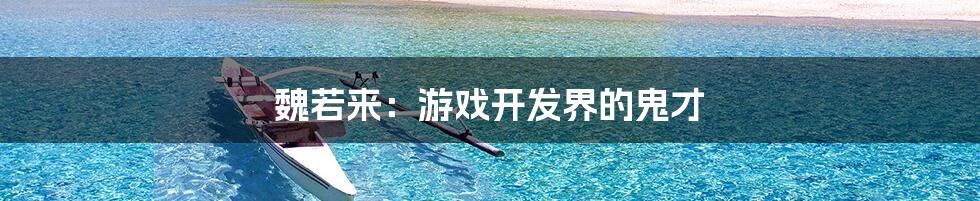 魏若来:游戏开发界的鬼才