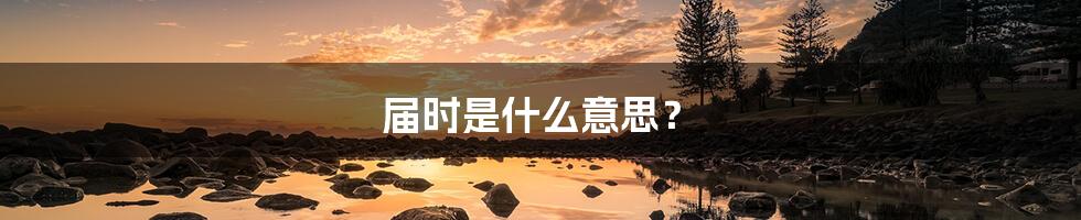 届时是什么意思？