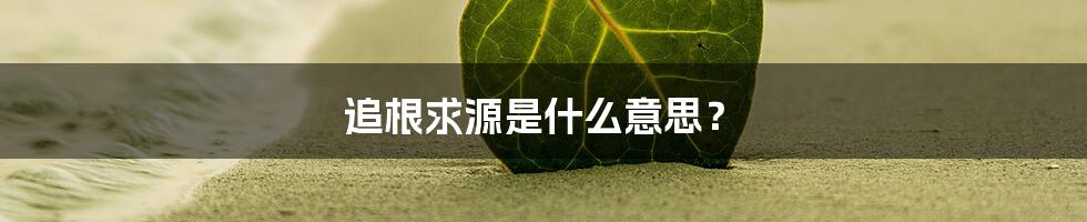 追根求源是什么意思?
