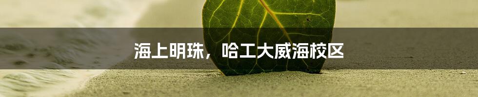 海上明珠,哈工大威海校区
