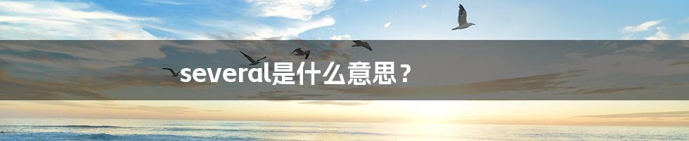 several是什么意思?