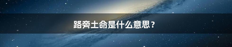 路旁土命是什么意思?