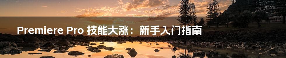 Premiere Pro 技能大涨:新手入门指南