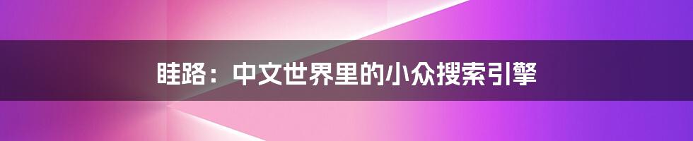 眭路:中文世界里的小众搜索引擎